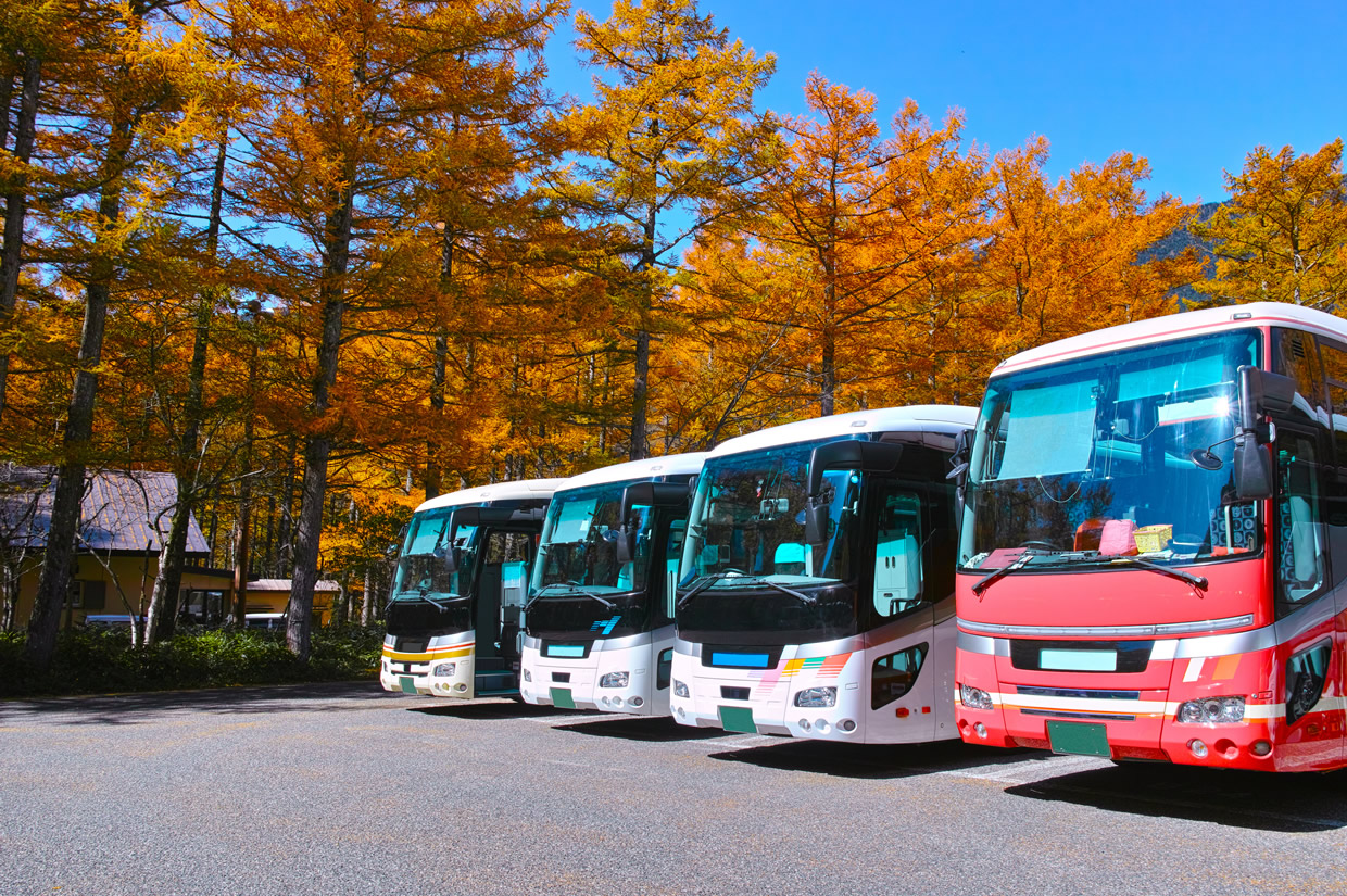 複数の観光バスが並ぶ写真